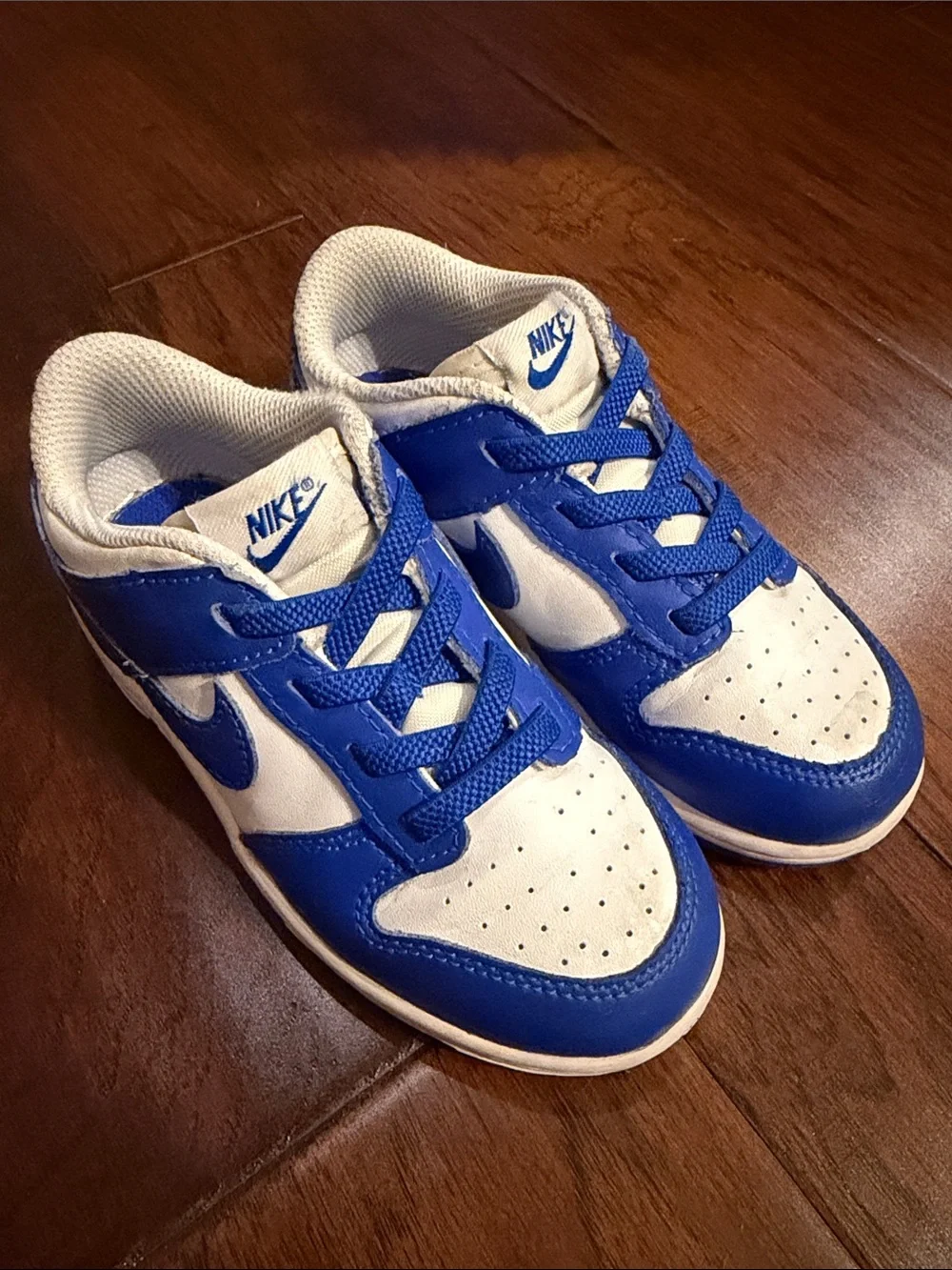 Nike Kids Blue and White Low-Top Sneakers